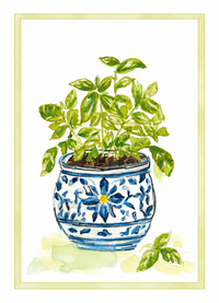 Fine Arts Greeting Card Collections
