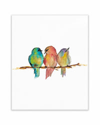 Fine Arts Greeting Card Collections